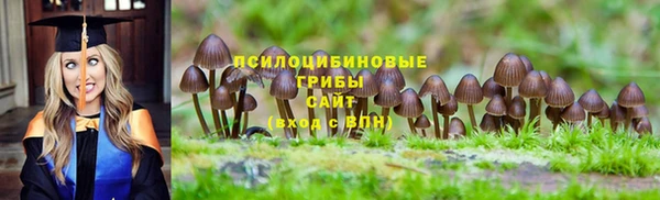 прущая мука Ельня