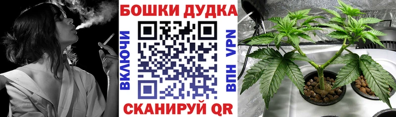 Бошки Шишки гибрид  Нижнекамск 